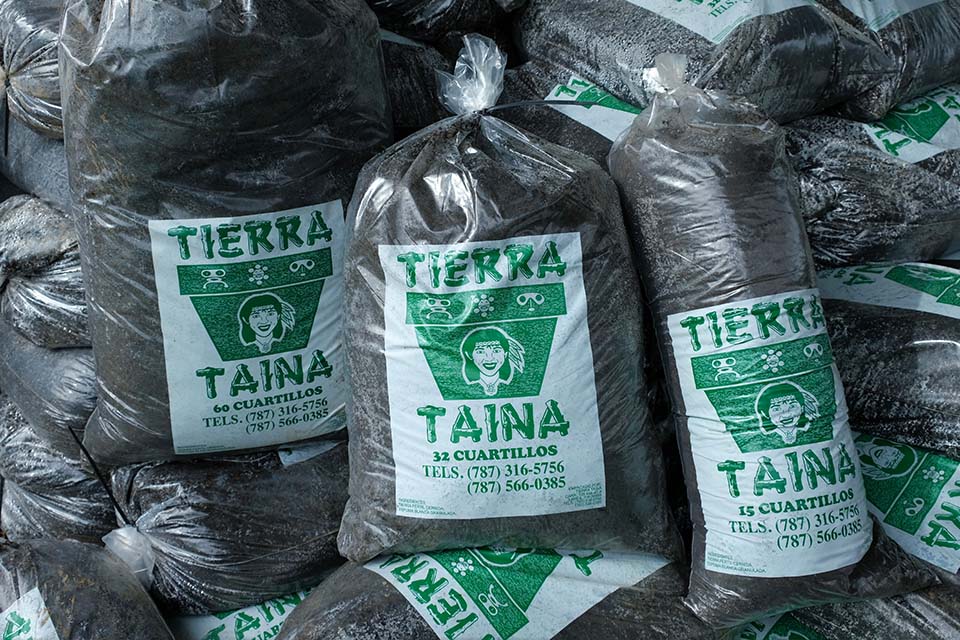 Tierra Taina